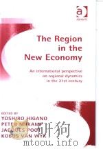 The Region in the New Economy     PDF电子版封面  0754619834   