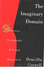 The Imaginary Domain（ PDF版）