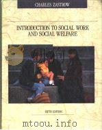 INTRODUCTION TO SOCIAL WORK AND SOCIAL WELFARE PDF电子版封面 0534179401