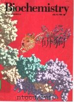Biochemistry(VOLUME 34·NUMBER 28) PDF电子版封面