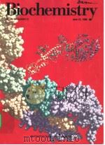 Biochemistry(VOLUME 34·NUMBER 23) PDF电子版封面