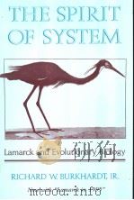 THE SPIRIT OF SYSTEM PDF电子版封面 067483318X