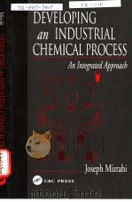 Mizrahi DEVELOPING AN INDUSTRIAL CHEMICAL PROCESS PDF电子版封面 0849313600