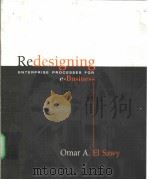 Redesigning Enterprise Processes for e-Business     PDF电子版封面  0070572259   