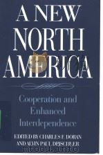 A NEW NORTH AMERICA PDF电子版封面 0275954072