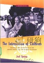 The lntersection of Cultures PDF电子版封面 0072320737