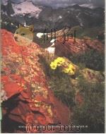 MILLER SUSTAINING THE EARTH AN INTEGRATED APPROACH(THIRD EDITION) PDF电子版封面 0534528848