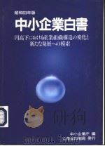 中小企业白书 昭和63年5月20日发行 PDF电子版封面 中小企业厅编