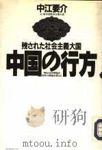 中国の行方（1991年10月第1版 PDF版）