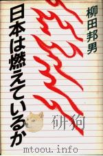 日本は燃えているか 昭和58年07月 PDF电子版封面 柳田邦男著
