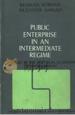 Public Enterprise in an Intermediate Regime PDF电子版封面 A STUDY IN THE POLITICAL ECONO
