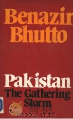 Pakistan The Gathering storm（1983 PDF版）