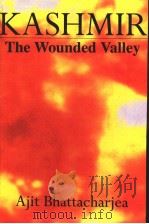 KASHMIR:The Wounded Valley（1994 PDF版）