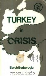 Turkey in Crisis From State Capitalism to Neo-colonialism PDF电子版封面 0905762568