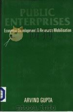 PUBLIC ENTERPRISES ECONOMIC DEVELOPMENT AND RESOURCE MOBILISATION PDF电子版封面 ARVIND KUMAR GUPTA