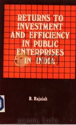RETURNS TO INVESTMENT AND EFFICIENCY IN PUBLIC ENTERPRISES IN INDIA PDF电子版封面 8170991250 B.RAJAIAH