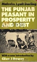 THE PUNJAB PEASANT IN PROSPERITY AND DEBT 1925 PDF电子版封面