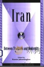 IRAN Between Tradition and Modernity PDF电子版封面 0739105302 Ramin Jahanbegloo
