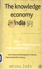 THE KNOWLEDGE ECONOMY IN LNDIA PDF电子版封面 1403901104