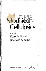 MODIFIED CELLULOSICS PDF电子版封面 0125997507 ROGER M.ROWELL RAYMOND A.YOUN