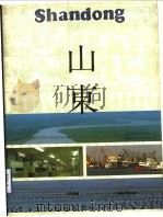 山东  1991（1991 PDF版）