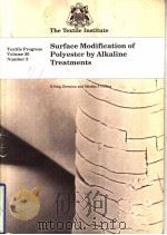 Surface Modification of Polyester by Alkaline Treatments Vol.20 Num.2 PDF电子版封面 1870812255