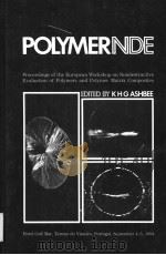 POLYMERNDE（ PDF版）