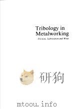 TRIBOLOGY IN METALWORKING  FRICTION，LUBRICATION AND WEAR     PDF电子版封面  0871701553  JOHN A.SCHEY 