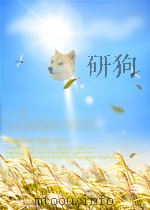 ALTERNATE FUELS AND THE GAS TURBINE CATALYTIC COMBUSTOR PDF电子版封面 W.C.PFEFFERLE