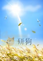 IMPROVEMENTOF NOZZIE LIFE IN GAS TURBINES PDF电子版封面 T.L.FLOWERS A.W.ANDERSON J.B