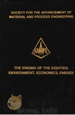 THE ENIGMA OF THE GIGHTIES:ENVIRONMENT VOLUME 24 BOOK 1 PDF电子版封面
