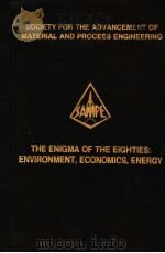 THE ENIGMA OF THE GIGHTIES:ENVIRONMENT VOLUME 24 BOOK 2 PDF电子版封面