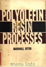 POLYOLEFIN RESIN PROCESSES PDF电子版封面