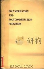POLYMERIZATION AND POLYCONDENSATION PROCESSES PDF电子版封面