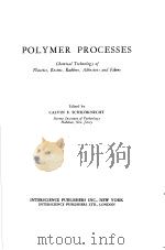 POLYMER PROCESSES PDF电子版封面 CALVIN E·SCHILDKNECHT