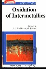 OXIDATION OF INTERMETALLICS PDF电子版封面 3527293205 K.H. MRATUCHA