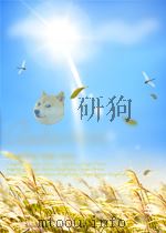 COMPOSITES GROUP OF SME TECHNICAL PAPER PDF电子版封面
