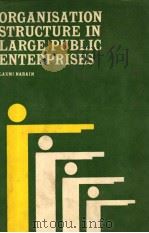 ORGANISATION STRUCTURE IN LARGE PUBLIC ENTERPRISES PDF电子版封面