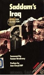 Saddam's Iraq Revolution of Reaction? PDF电子版封面 0862323339