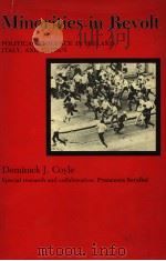 MINORITIES IN REVOLT PDF电子版封面 0838631207 DOMINICK J.COYLE