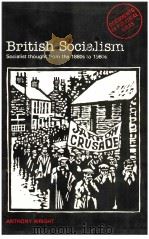 BRITISH SOCIALISM PDF电子版封面 0582295610 ANTHONY WRIGHT