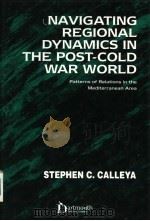 NAVIGATING REGIONAL DYNAMICS IN THE POST-COLD WAR WORLD PDF电子版封面 185521850X STEPHEN C.CALLEYA