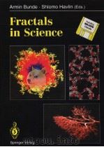 ARMIN BUNDE SHLOMO HAVLIN (EDS.) FRACTALS IN SCIENCE PDF电子版封面 3540562206