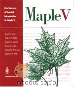 MAPLEV FIRST LEAVES:A TUTORIAL INTRODUCTION PDF电子版封面 0387976213
