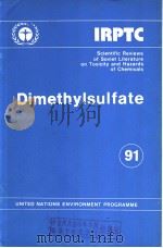 IRPTC DIMETHYLSULFATE 91（ PDF版）
