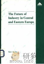 THE FUTURE OF INDUSTRY IN CENTRAL AND EASTERN EUROPE PDF电子版封面 1859723403 HANS VAN ZON