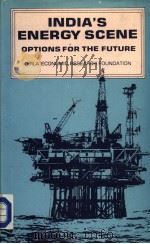 INDIA'S ENERGY SCENE OPTIONS FOR THE FUTURE PDF电子版封面 8170271223 BIRLA ECONOMIC RESEARCH FOUNDA