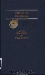 ISRAEL AT THE CROSSROADS  THE CHALLENGE OF PEACE（1994 PDF版）
