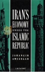 IRAN'S ECONOMY UNDER THE ISLAMIC REPUBLIC PDF电子版封面 1850436037 JAHANGIR AMUZEGAR