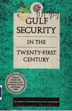 GULF SECURITY IN THE TWENTY#FIRST CENTURY PDF电子版封面 1850433860 DAVID E.LONG CHRISTIAN KOCH
